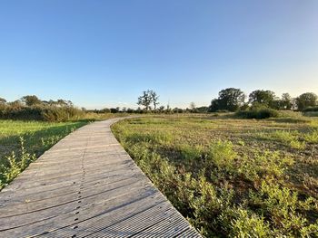 Empty footpath amidst field against clear sky