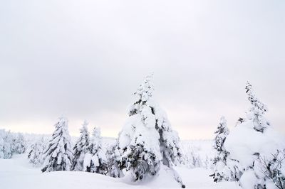 Snow covered landscape against sky