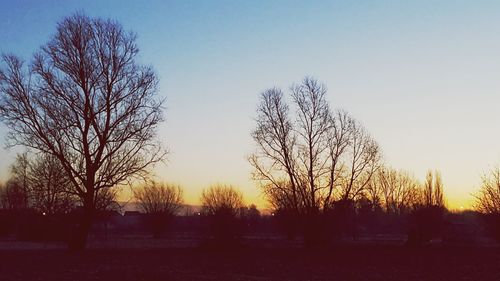 Silhouette trees against clear sky during sunset
