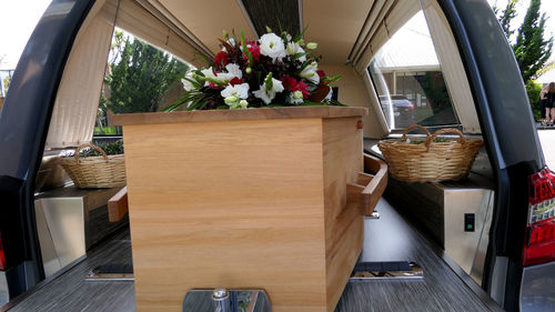 View of potted plants on wooden table