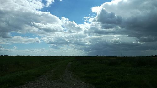 Scenic view of agricultural field against sky