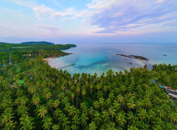 Aerial view of nature tropical paradise island beach enjoin koh kood or ko kut, thailand.