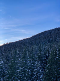 Scenic view of snow covered land against sky