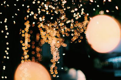 Close-up of illuminated lighting equipment hanging on tree