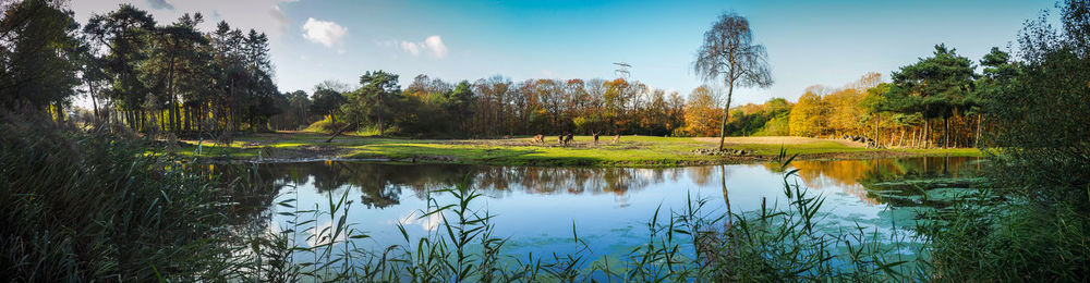 Scenic view of lake in forest against sky