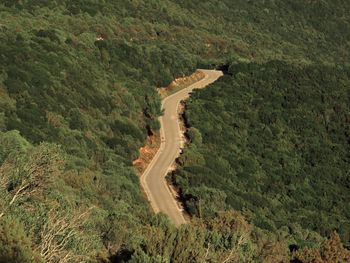 High angle view of road amidst land