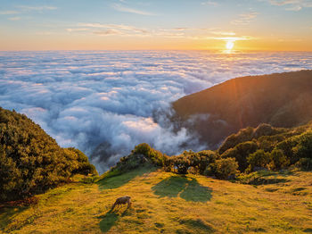 Aerial view of landscape against sky during sunset