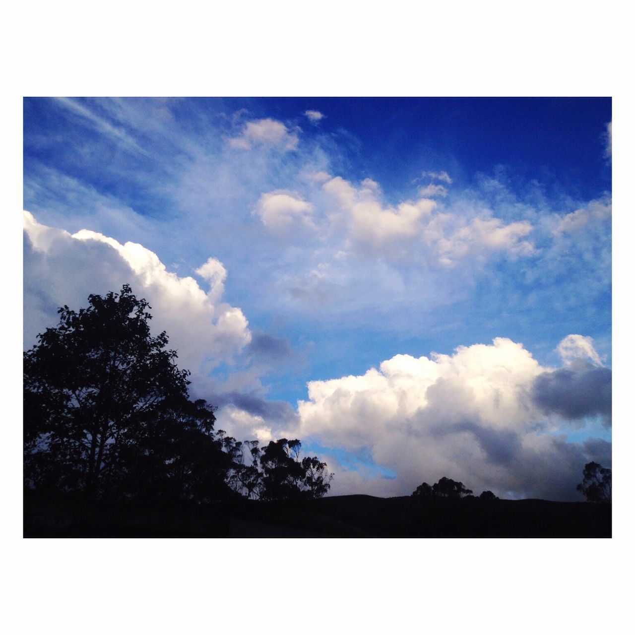 transfer print, sky, auto post production filter, tree, silhouette, cloud - sky, tranquility, beauty in nature, tranquil scene, low angle view, scenics, cloud, nature, cloudy, outdoors, growth, day, no people, non urban scene, idyllic