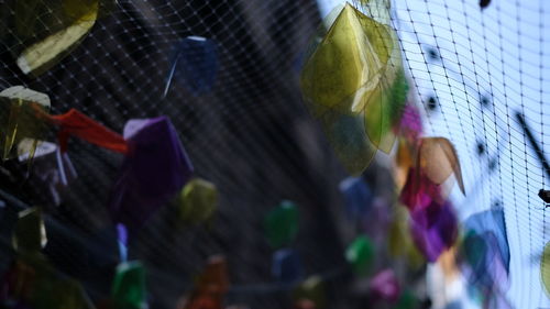 Low angle view of decoration hanging on glass