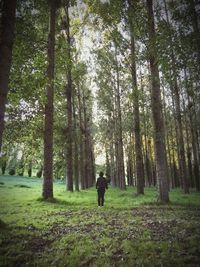 People walking in forest