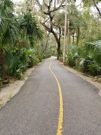 Road amidst trees