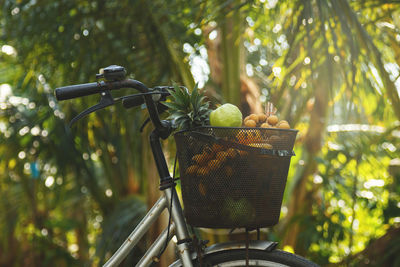 View of fruits in basket on bicycle