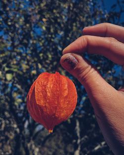 Close-up of hand holding orange leaf during autumn