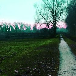 Scenic view of wet landscape against sky