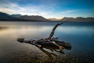 Driftwood by lake against sky