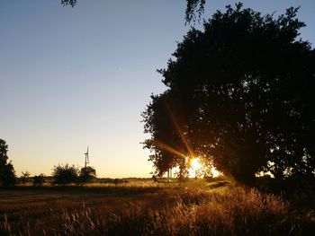 Silhouette trees on field against sky at sunset