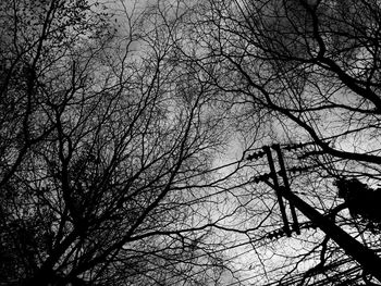 Low angle view of silhouette bare tree against sky