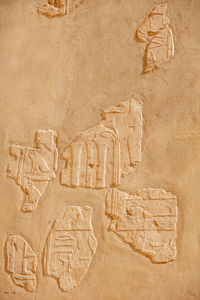 Beautiful mural, hieroglyphs inside the temple of hatshepsut. 