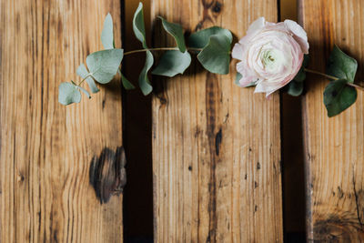 Close-up of rose on wood