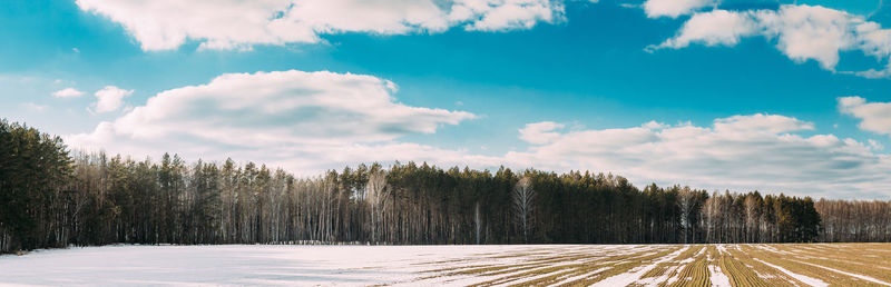 Scenic view of snow covered landscape against sky