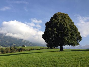 Scenic view of grassy field against cloudy sky