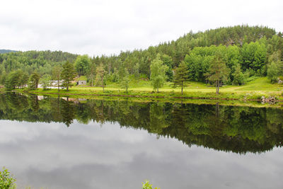 Scenic view of lake by trees against sky