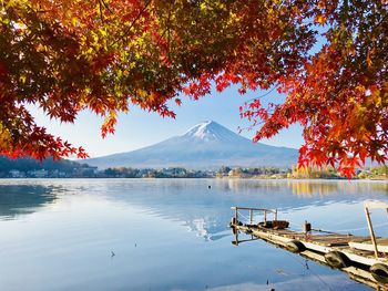 Autumn trees over lake against snowcapped volcano