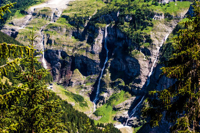 High angle view of rocks and plants on land