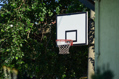 Low angle view of basketball hoop against trees