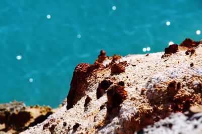 High angle view of rocks in sea