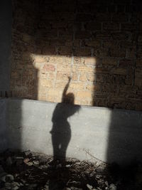 Shadow of man on wall