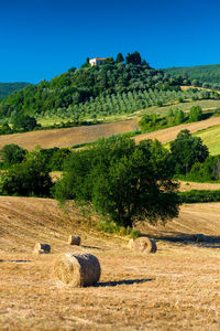 Hay bales on field against clear sky