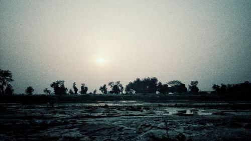 Scenic view of field against clear sky