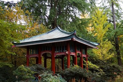 Gazebo in temple during autumn