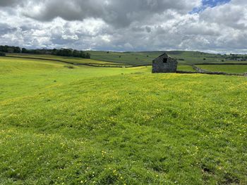 grassland