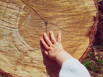 Cropped hand of baby touching tree stump