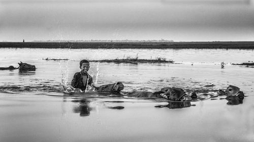 Cute boy sitting on bull splashing in water