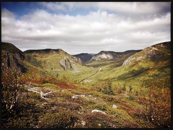 Scenic view of landscape against sky