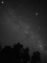 Low angle view of silhouette trees against sky at night