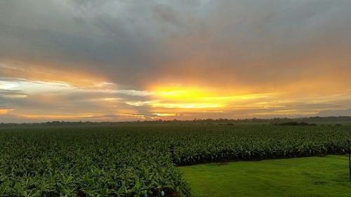 Scenic view of field against cloudy sky