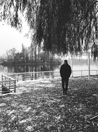 Rear view of woman walking on lake against trees