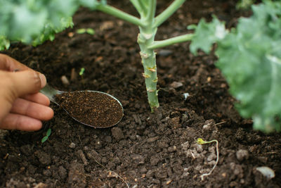 Cropped image of person holding hand in mud