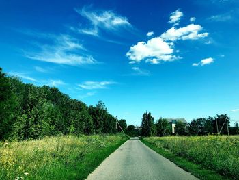 Empty road along trees and plants against sky