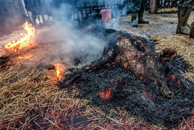 View of bonfire