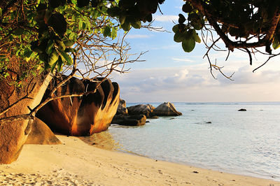 Scenic view of calm sea against sky