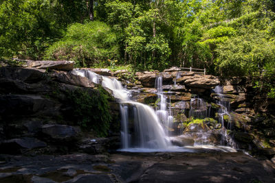 Scenic view of waterfall in forest