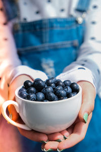 Woman holding bowl with fresh blueberries. harvesting concept. female hands collecting berries. 