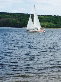 Boats sailing in sea