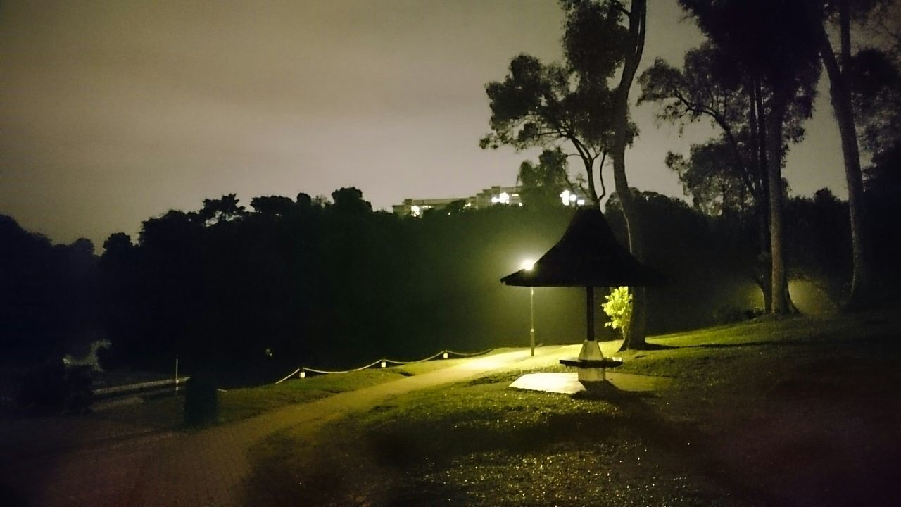 tree, silhouette, tranquility, night, tranquil scene, palm tree, illuminated, nature, sky, landscape, scenics, bench, clear sky, growth, outdoors, beauty in nature, dusk, empty, street light, no people