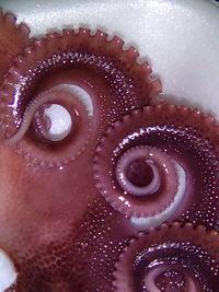 Extreme close up of human eye